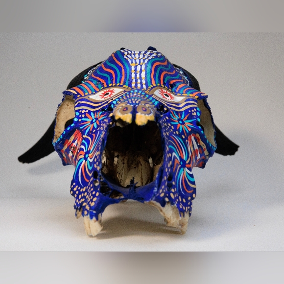 Real Handpainted Large Goat Skull - Picture 4 of 16